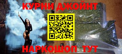 трава Гатчина