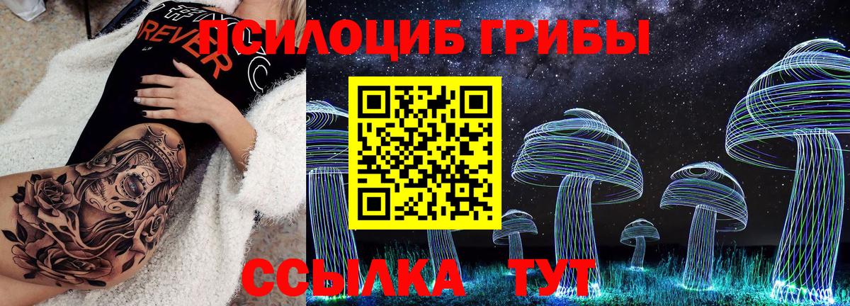 Галлюциногенные грибы Cubensis  Вход с VPN  Галлюциногенные грибы мицелий  Дербент 